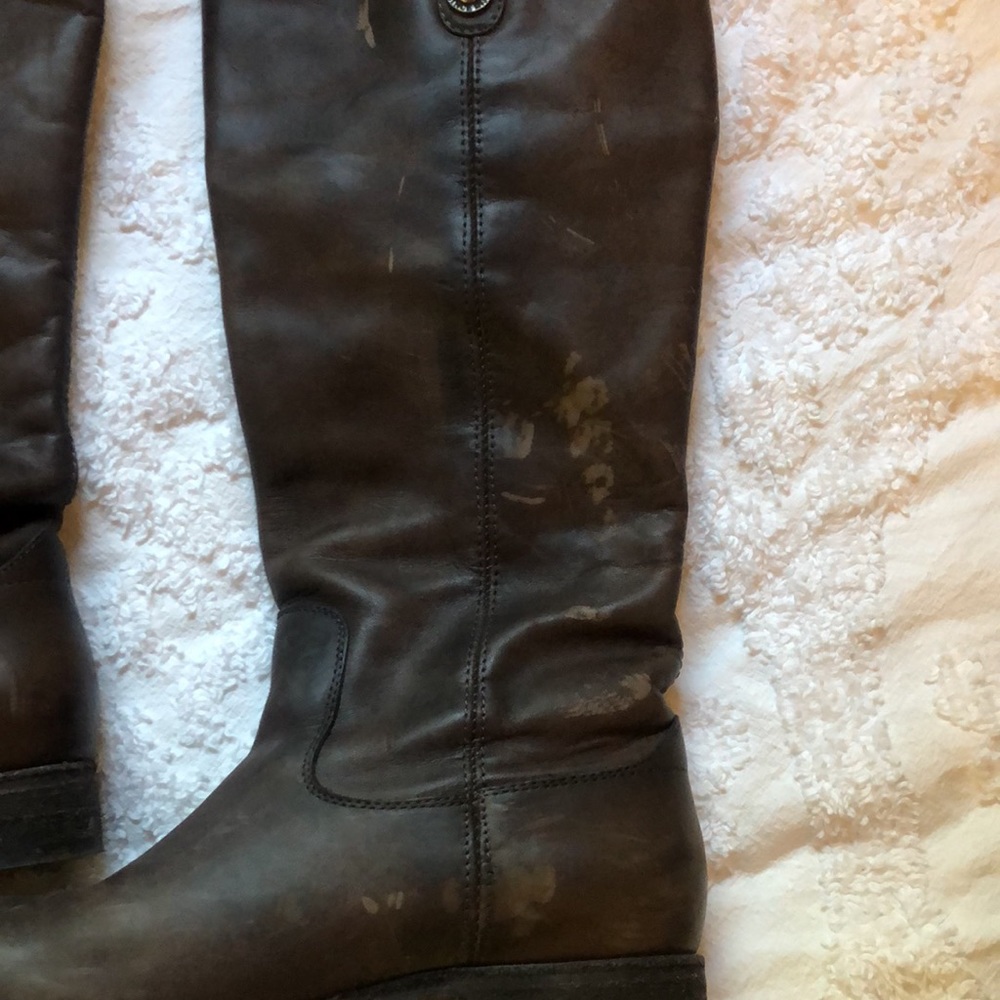 Frye Boots - Picture 4 of 4